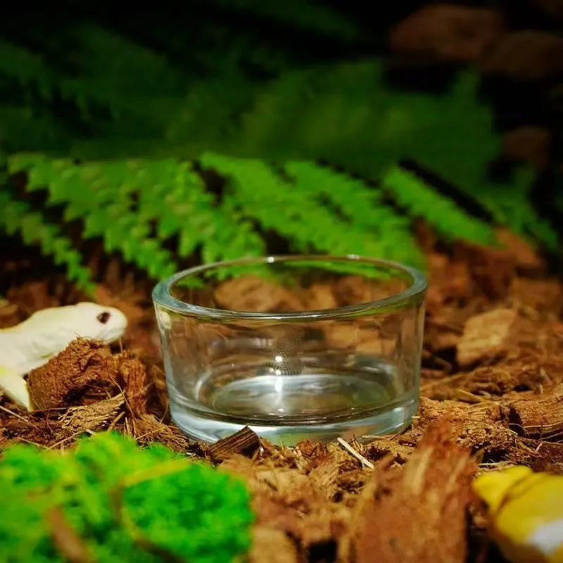 Glass Aquarium Pet …