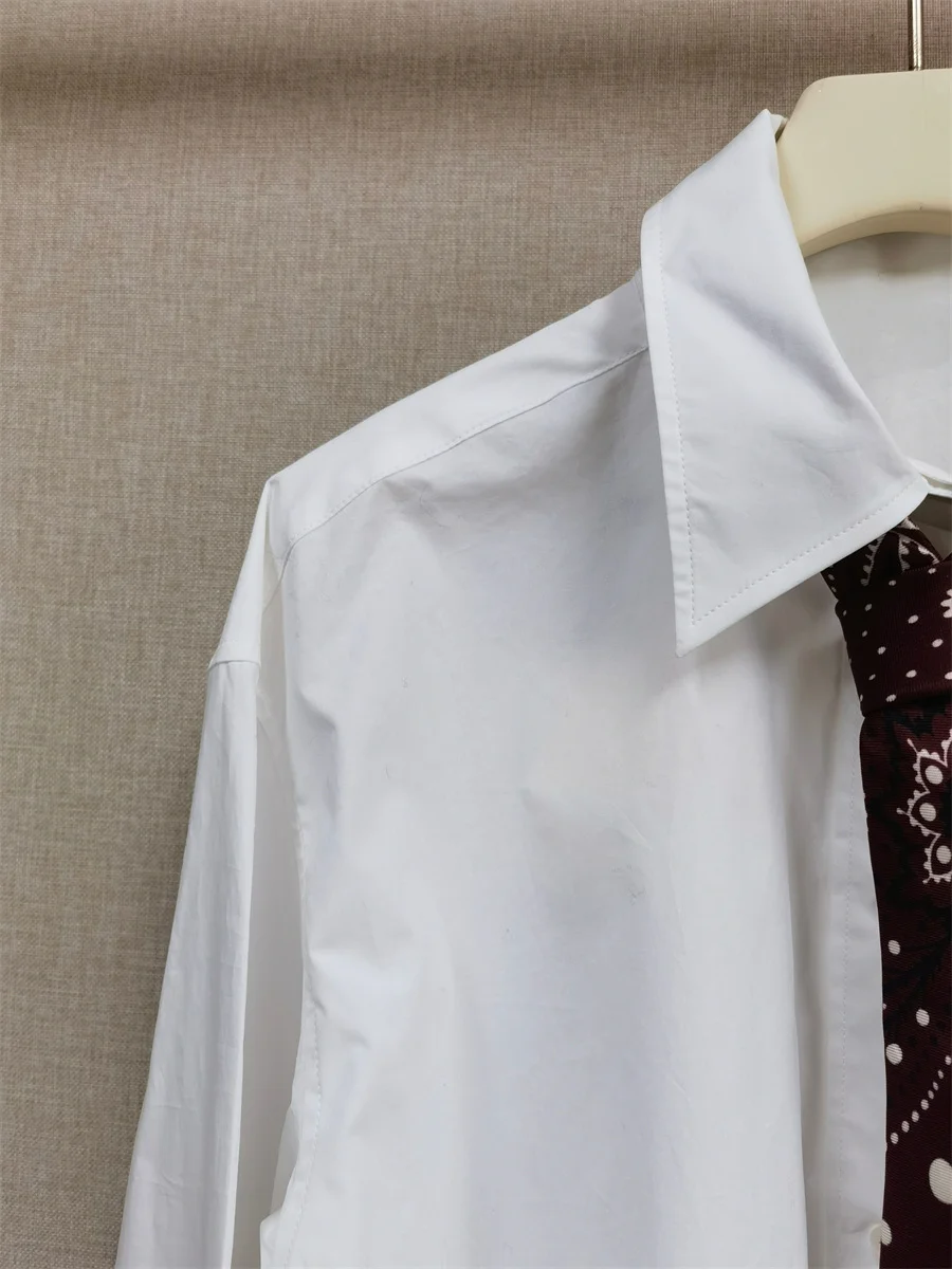 【هدية مجانية】قميص نسائي أبيض قصير فضفاض لخريف وشتاء 2025 نمط فرنسي متخصص طية صدر صغيرة مزدوجة S بلوزة عصرية مطرزة #4