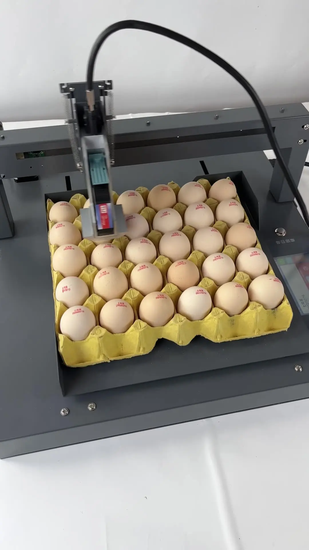Touch Screen Automatic Chicken  Inkjet Printer Barcode Coding Stamping Machine for Trademark Date Printing