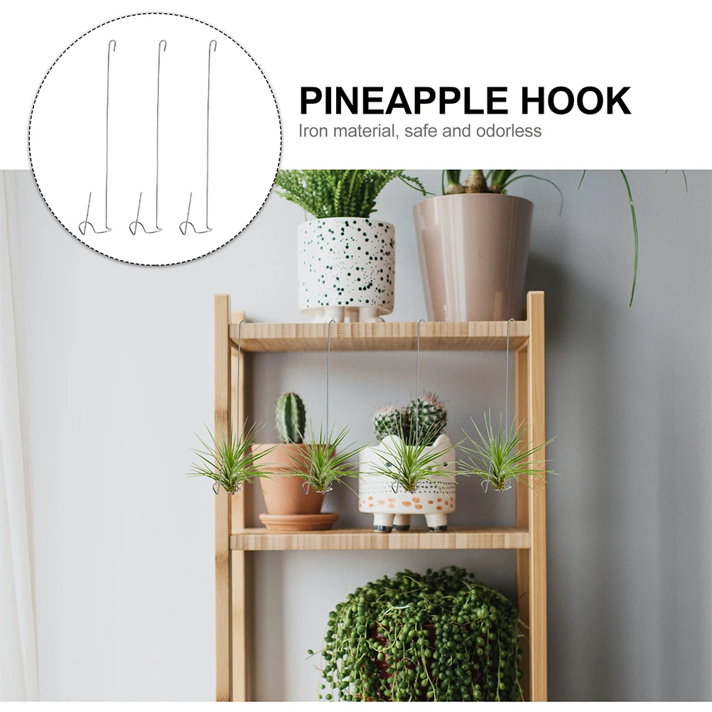 

3 Pcs Air Plant Hangers Wall Mount Heavy Duty Stainless Steel Hooks for Fern Tillandsia Display Plant Holder Metal Hanging Hook