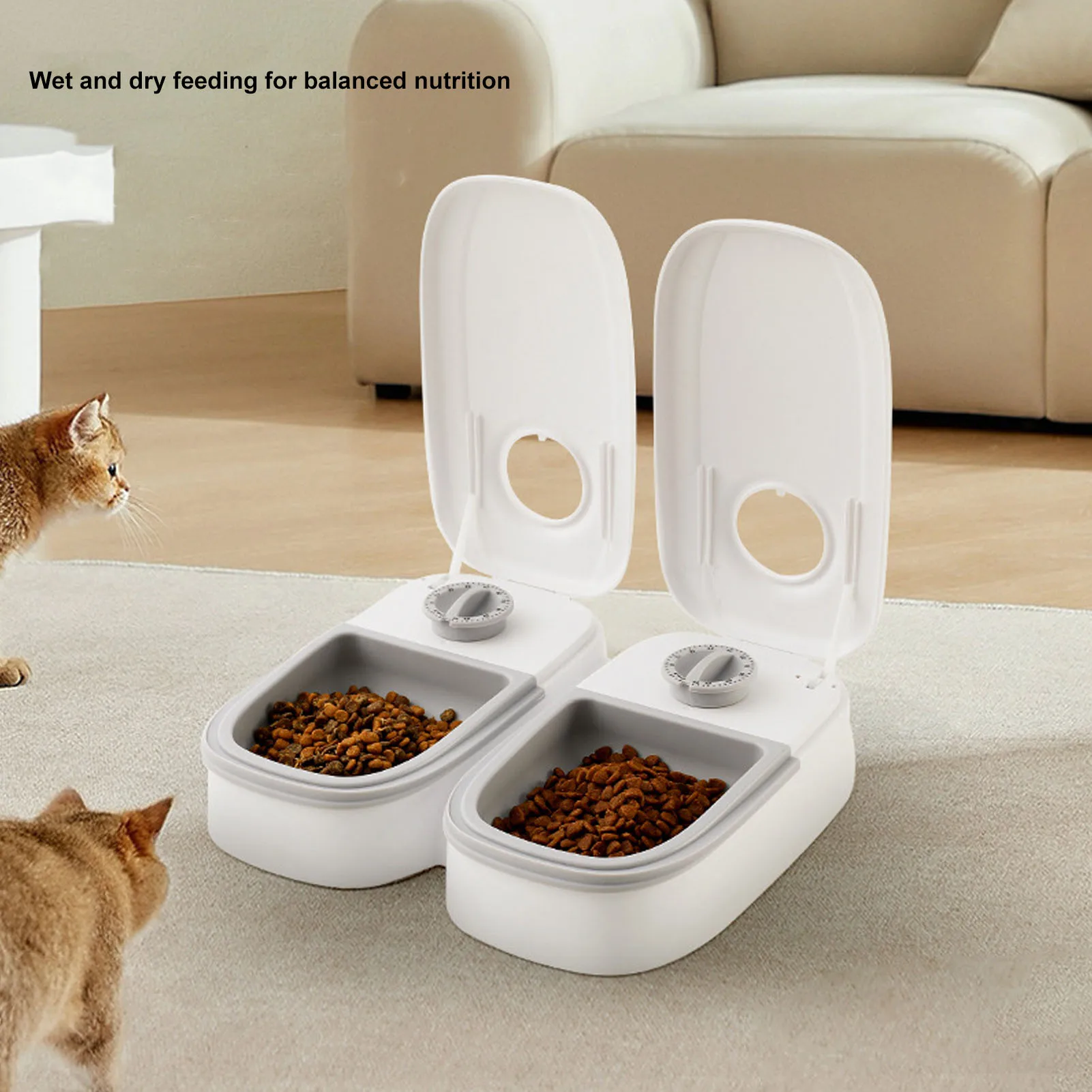 

2 Meal Automatic Pet Feeder 2 Meal Automatic Pet Feeder Large Capacity Smart Timed Dry Or Semi Moist Pet Food Feeder for Dog Cat