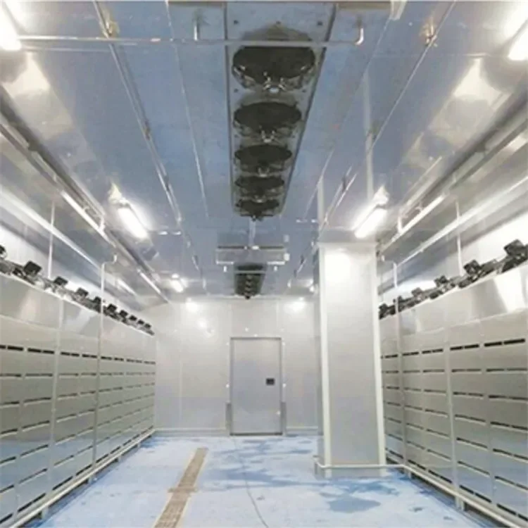 Cold and Defrosting Room for Frozen Meat Beef Product