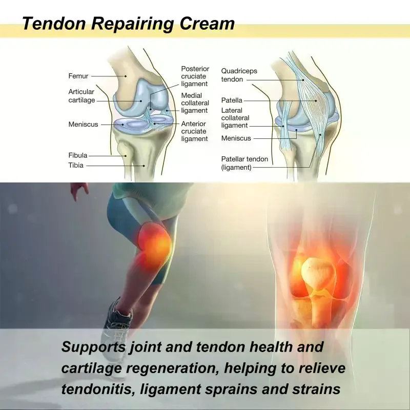 /JCS/Tendon Sheath Care Cream Hand Foot Massage Relieve Ache Body Care Lotion Daily Use Cooling and Soothing Body Joint Swelling