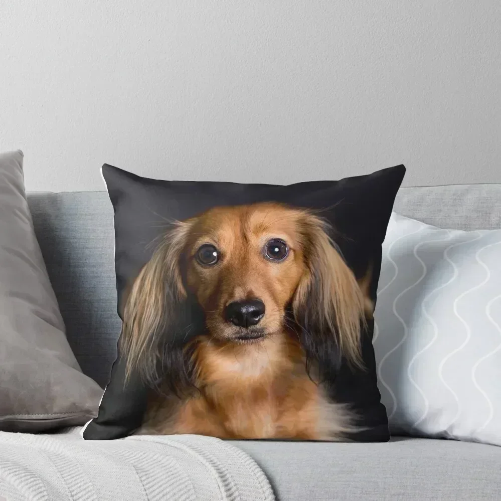 Portrait of a dachsund Throw Pillow autumn pillowcase christmas decorations 2025 pillow