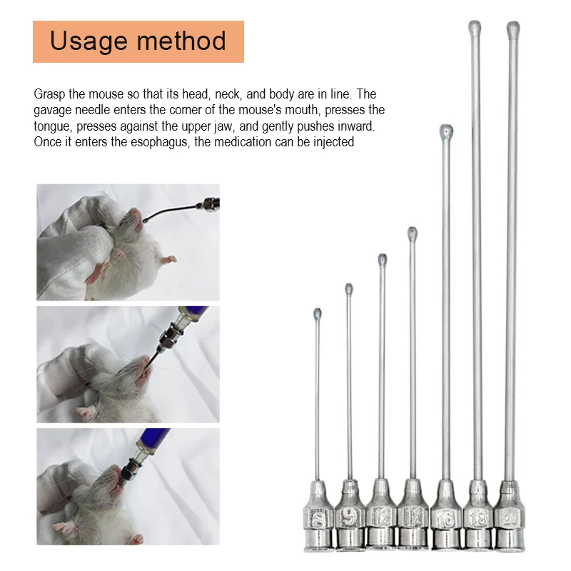 1Pcs Pet Birds Feeding Syringe Parrots Pigeons Rodents Mice Feeding Syringe Gavage Straight Gastric Applicator Syringe