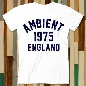 Ambient Music 1975 Brian Eno The Orb Synthesizer T Shirt Adult Unisex Men Women Retro Design Tee Vintage Top A4969