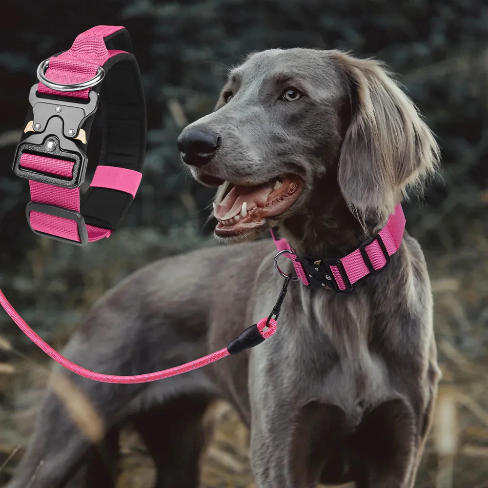 Langlebige Metallverschluss-Hundehalsbänder für mittelgroße und große Hunde, robustes Nylon-Hundehalsband mit Griff, Greyhound Mascotas Zubehör
