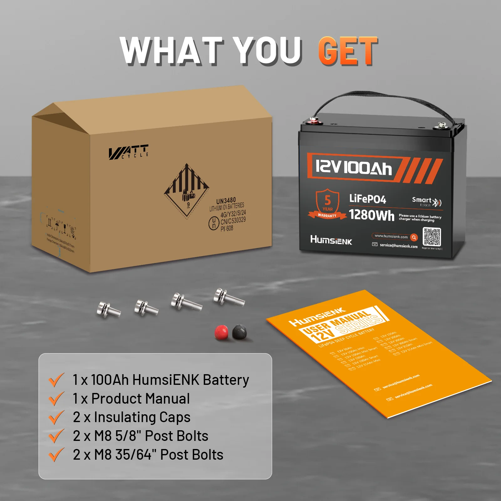 Lifepo4 12V 100Ah Bms Bluetooth - HumsiENK LiFePO4 12.8V 100Ah Grade A