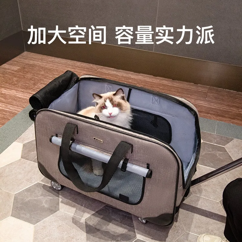 Pet trolley case detachable cat bag cat dog out trolley windproof detachable