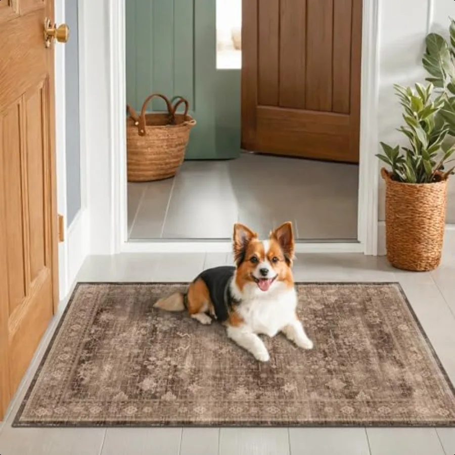 

Brown Boho Washable Entry Rug 3x4 Rugs for Entryway Kitchen Bathroom Door Mat Indoor Entrance Non Slip Rubber Backing Stain Fad