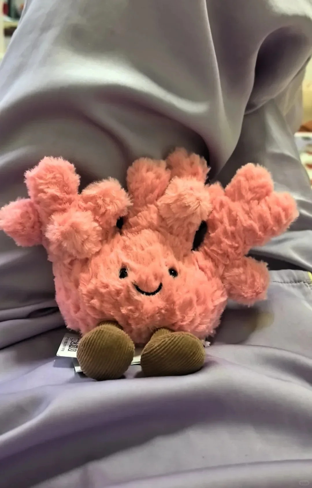 

For Jelly Cat Summer new products Amuseables Coral Plush Doll With Gift Home Decoration Holiday Gift Cat And Dog Interactive Toy