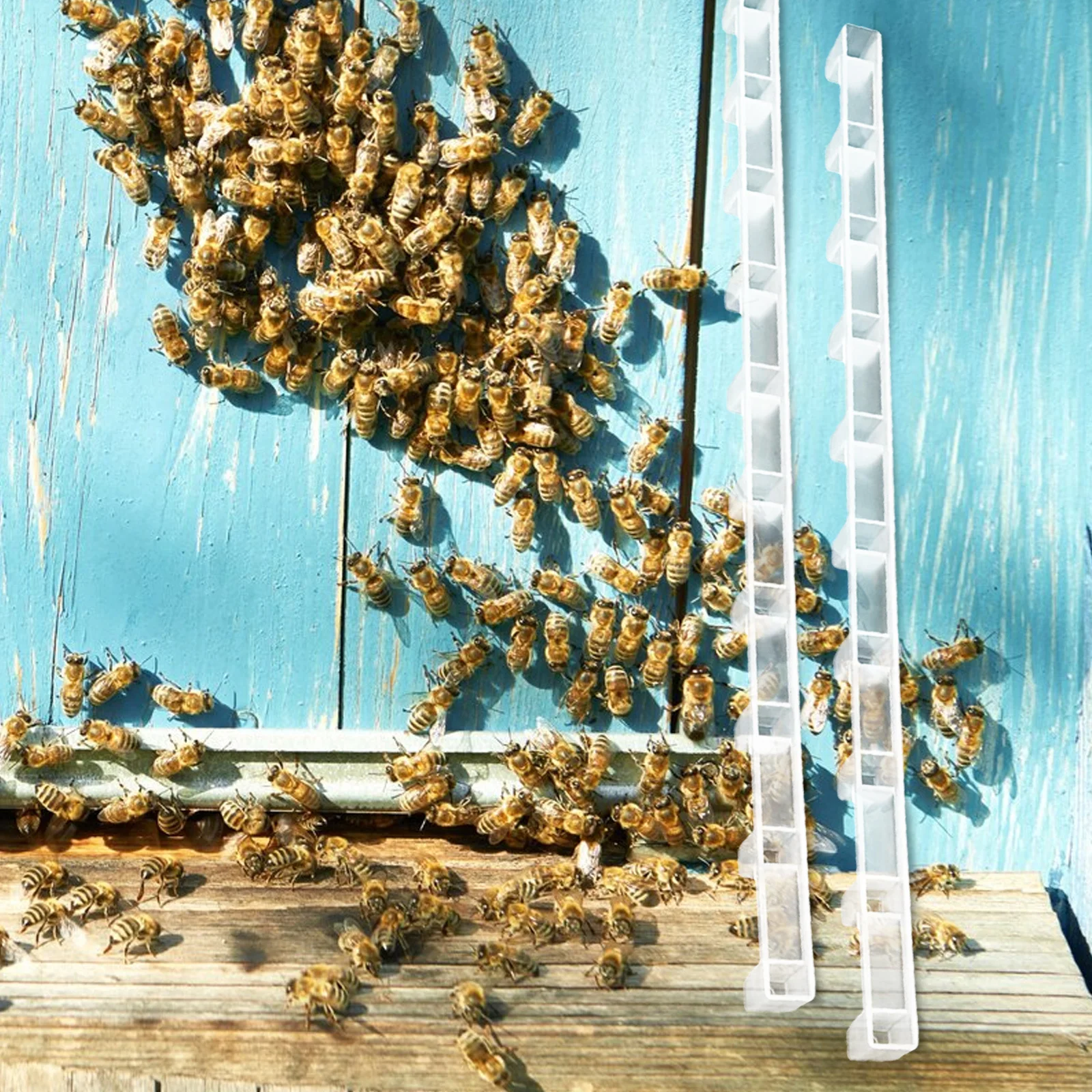 

10Pcs Honeycomb Plastic Spacers Beehive Equipment Sturdy Multi Functional Beekeeping Supply Environmentally Safe No Deformation