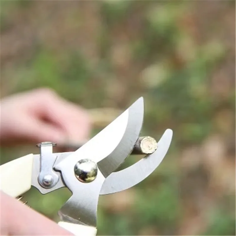 1 Pcs Stainless steel twig pruner pick fruit flower wood scissors garden fruit trees garden scissors garden tools