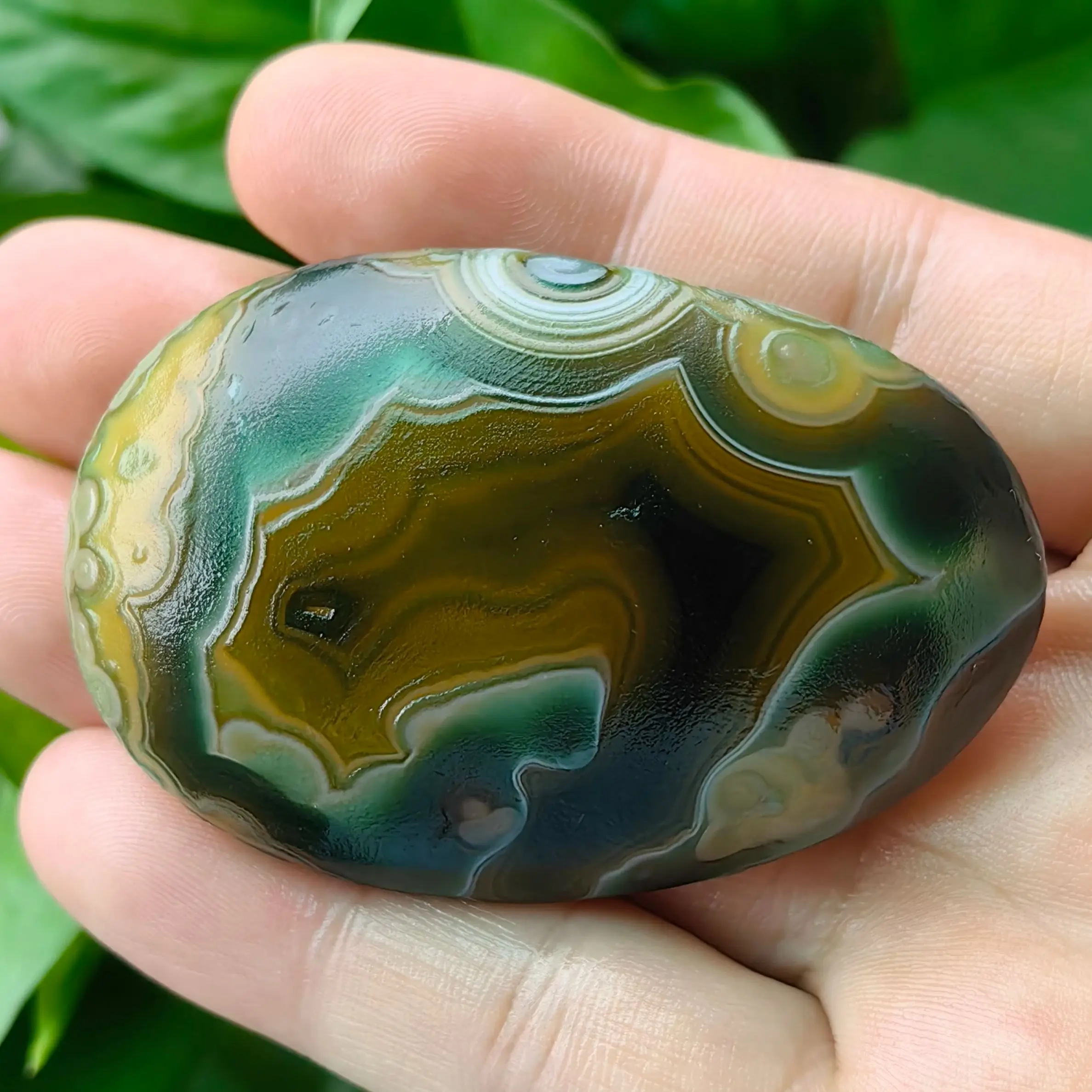 Rare Precious Natur…