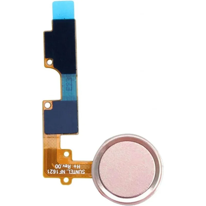 Home /Fingerprint /… - image