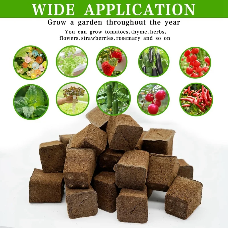 50 Hydroponic Seed Sponge For Seedlings, Clones, Cuttings, Promotes Rapid Rooting Of Plants, Flowers And Vegetables Durable