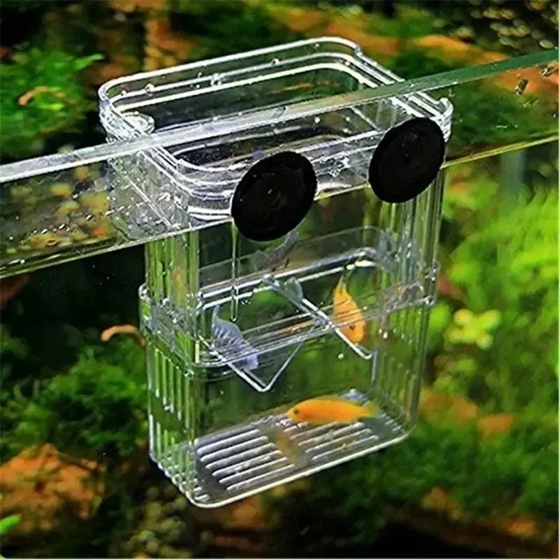 Aquarium Fish Breeder Box Bettas Fish Tank Fish Breeding Isolation Box Hatching Incubator Box Transparent