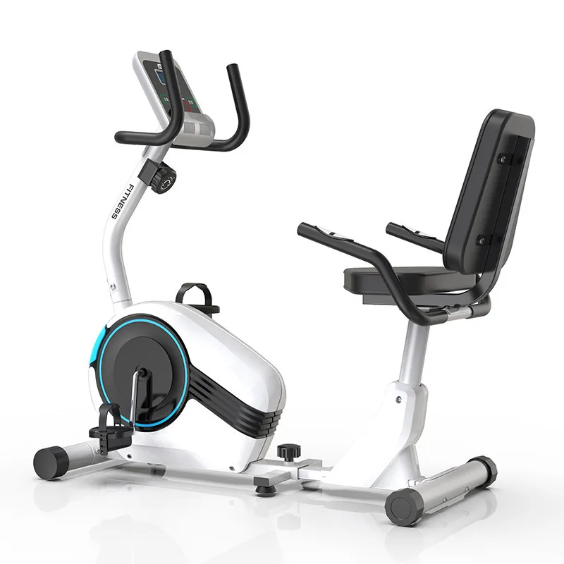 Magnetic Exercise Bike Recumbent Exercise Bike for Indoor Fitness