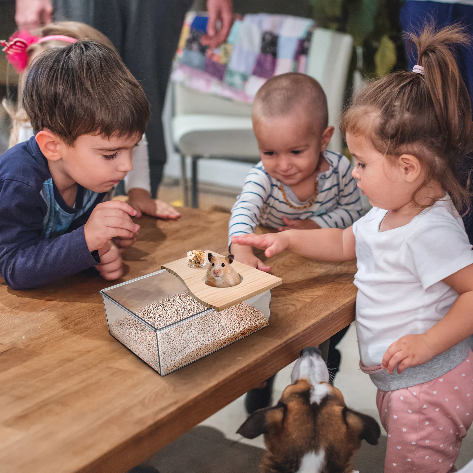 

1Pcs Durable Acrylic Hamster Sandbox Chinchilla Bath Open Design Smooth Surface Pet Bathing Tub Health Fun