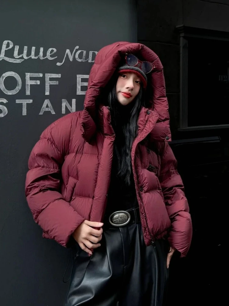 2025 موضة جديدة رقيق سترة منفوخة الإناث جديد الخريف الشتاء سميكة الدافئة ملابس علوية النساء قصيرة مقنعين الأبيض بطة أسفل معطف #5