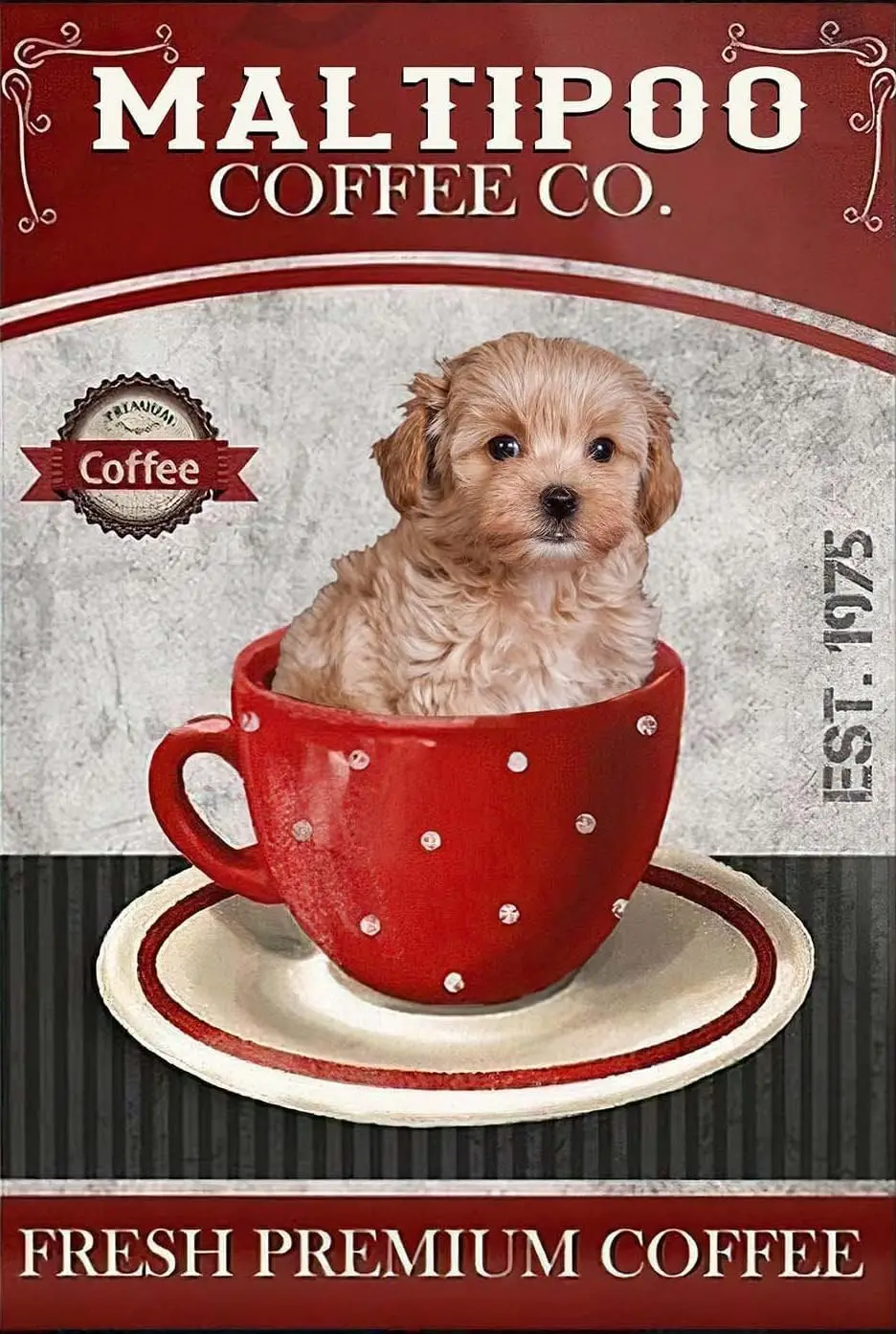 U1,Love Maltipoo Do… - image
