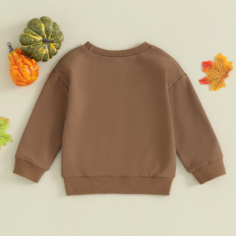 

Children s Hooded Sweatshirt Halloween Pumpkin Print Long Sleeve Crew Neck Pullover for Boys and Girls Festive Fall Clothing