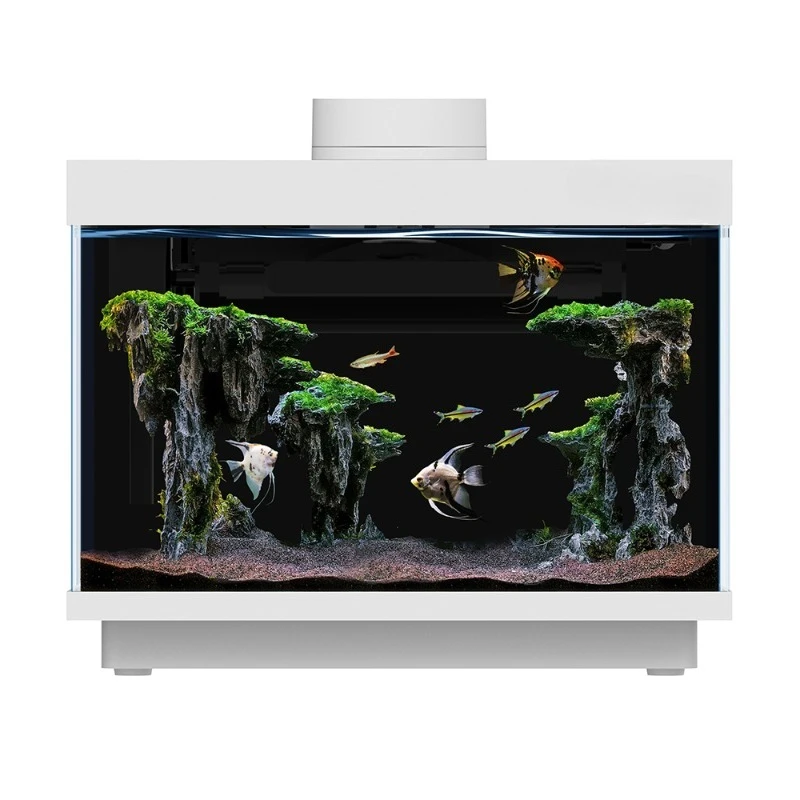 

New design smart glass fish tank environmentally friendly desktop ornamental fish tank built-in heater removable air stone