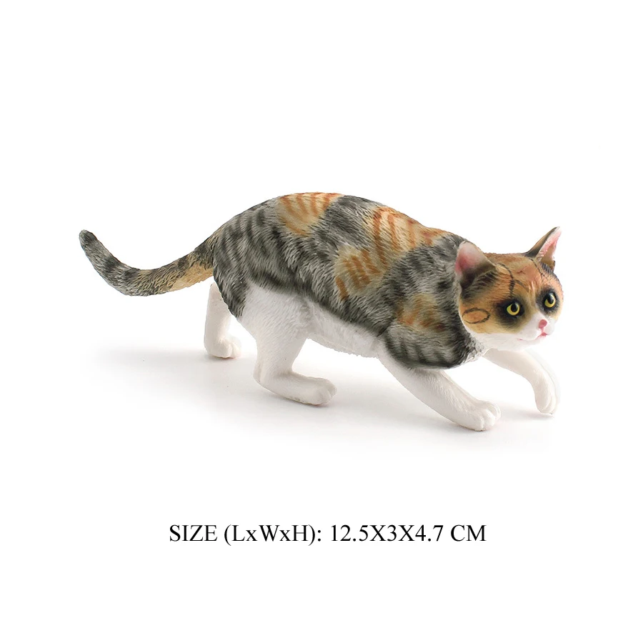 Cat -19