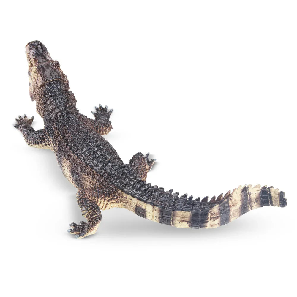 Toymany Simulatie Zwarte Kaiman Reptiel Diermodel Speelgoed Mini Figuren Poppen Actie Beeldjes Speelgoed Kinderen Gift Taart Decoratie