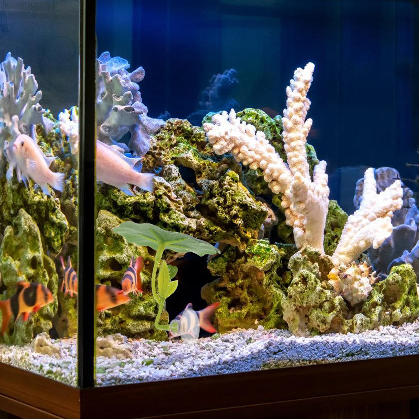 

Betta Fish Leaf Hammock Artificial Floating Plants For Aquarium Decorations Resting Spot Bed Betta Accessories Fish Tank