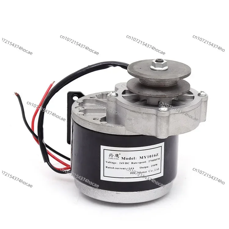 Electric vehicle gear motor 12V24V250W350W brushed modified MY1016Z2 Unite the same style