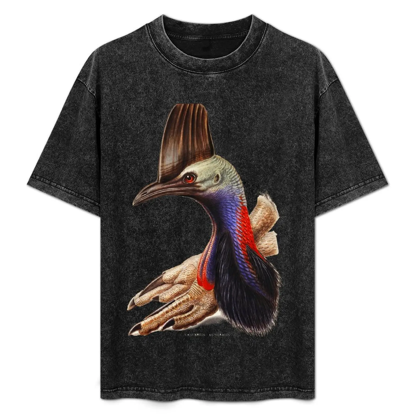 

Australian Cassowary Bird Art Canvas print online delivery. Made in Australia T-Shirt Quick Dry Outdoor Sports T-Shirt