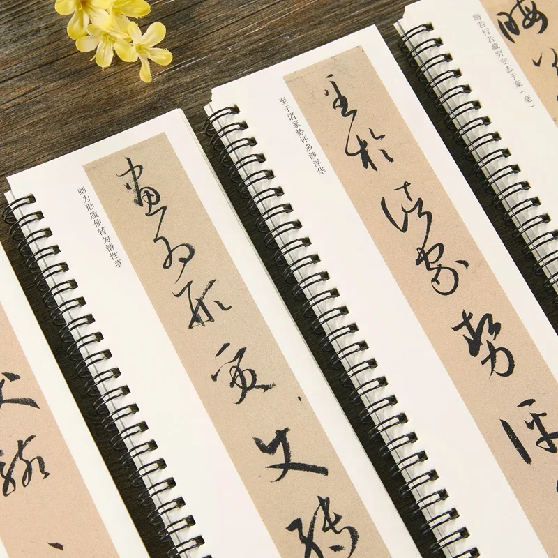 Sun Guoting Cursive Script Copying Book Chinese Inscription Shu Pu Full Text Calligraphy Copybook Original Text Close Range Copy