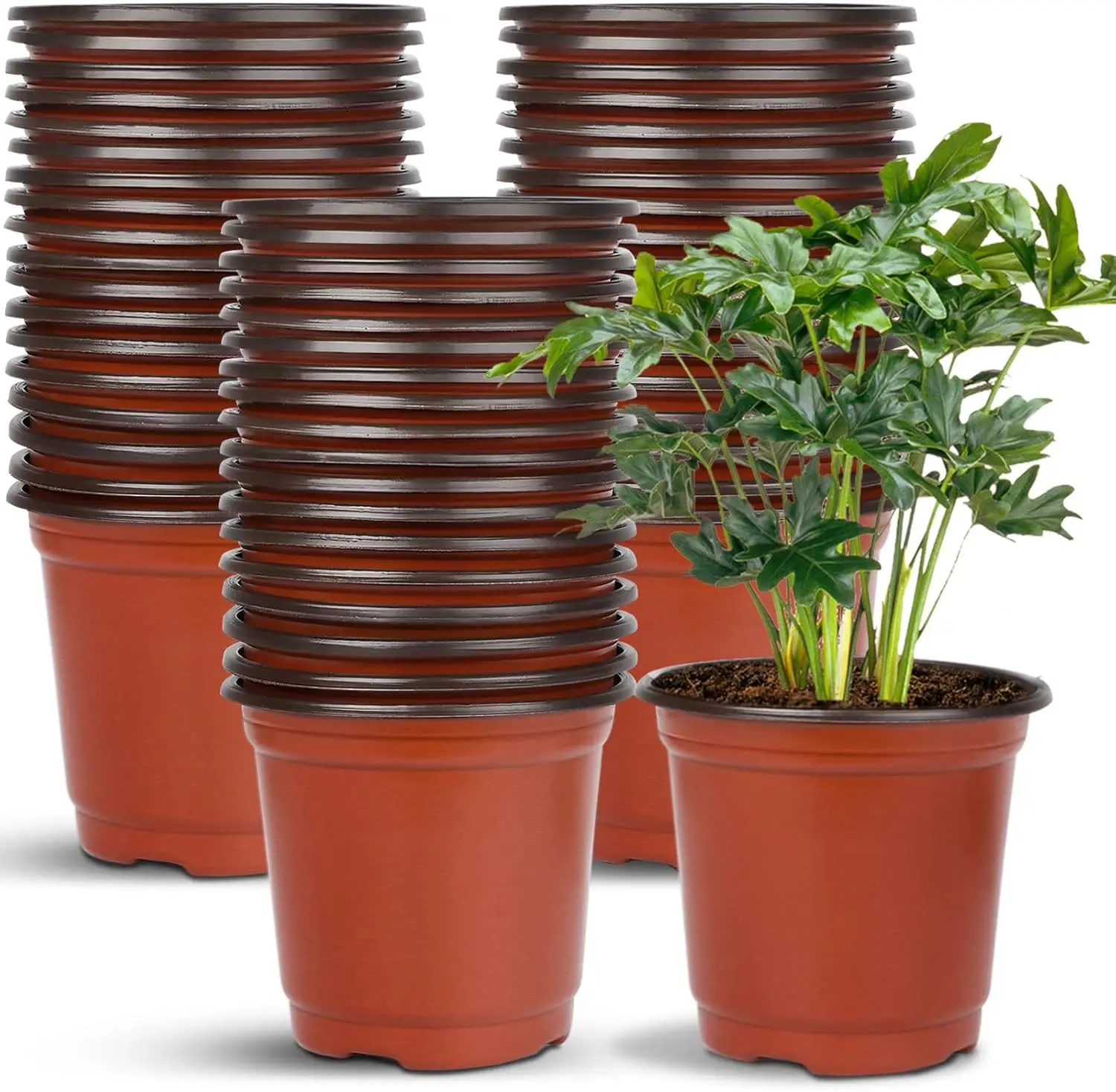 

40 Pcs 6 Inch Plastic Plant Nursery Pots for Seedlings, Succulents, Indoor Outdoor Use