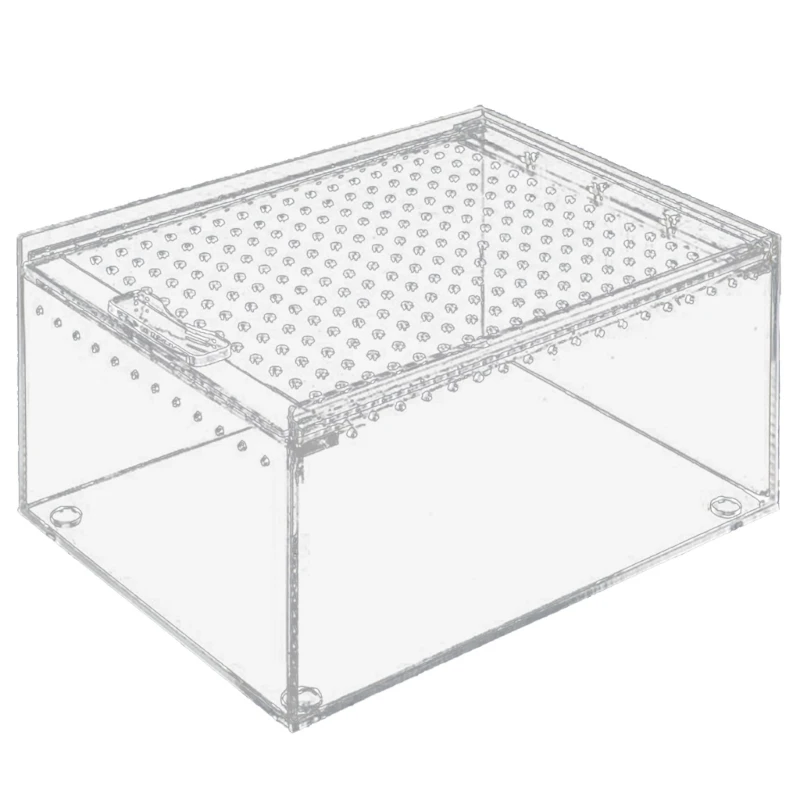 

Insect Feeding Box Acrylic Clear Breeding Case for Reptiles Lizards Centipedes Drop shipping