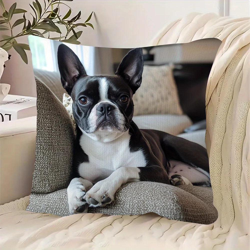 Boston Terrier Gaze Double-Sided Decorative Pillowcase, Cute Dog Portrait Cushion Cover for Sofa Living Room Bedroom Decor