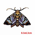 PE7972CT