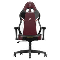 New Design Chaise Gaming Variant Elf Ergonomic Computer Chair Liftable Reclinable Extra Wide Seat Gaming Chair