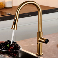 NEW Gold Kitchen Faucets Pull Out Sink Water Taps Hot and Cold Water Mixer Tap Single Hole Single Handle