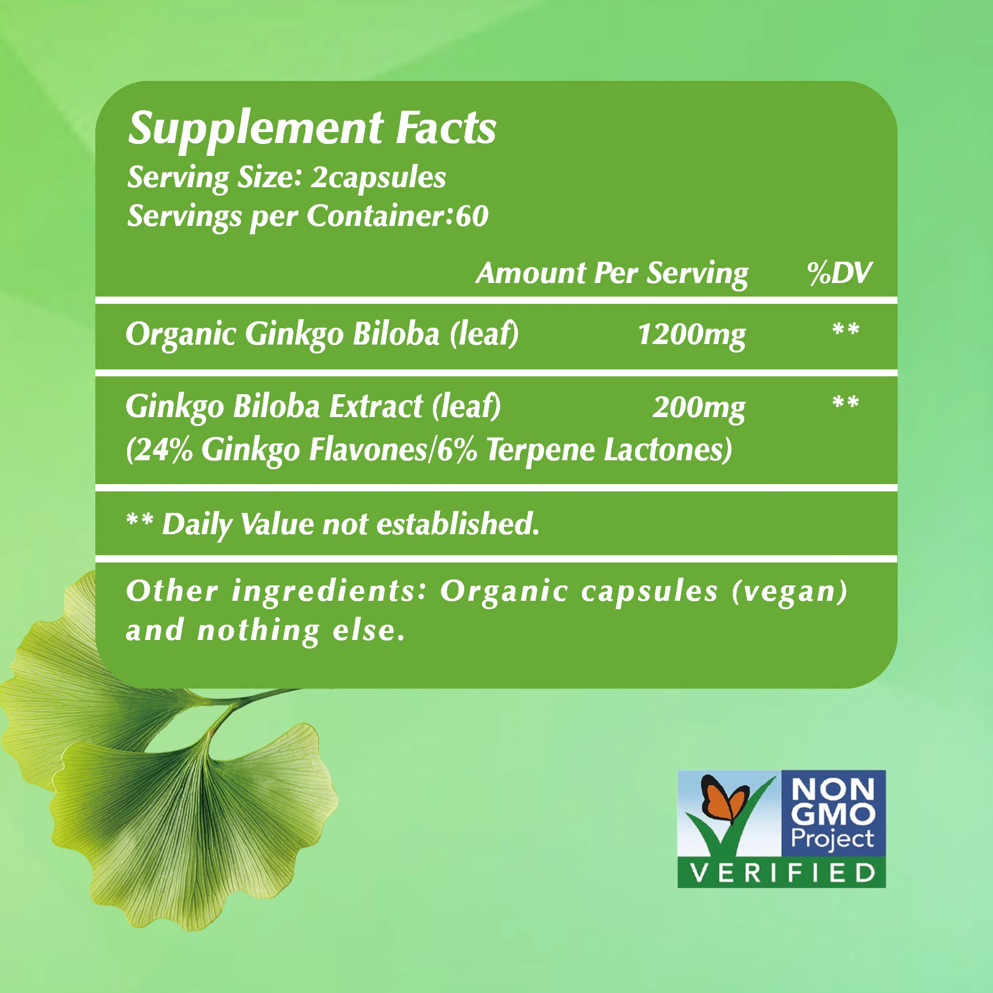 Ginkgo Biloba - Promotes Brain Health, for Memory, Energy & Circulation