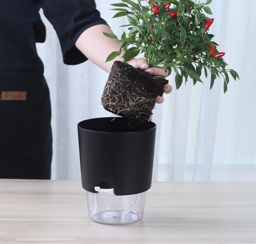 أصيص زهور بلاستيكي شفاف ذاتي الري ، أصيص نباتات الزراعة المائية ، مزارعي أصيص عصارية ، ديكور مكتبي منزلي #3