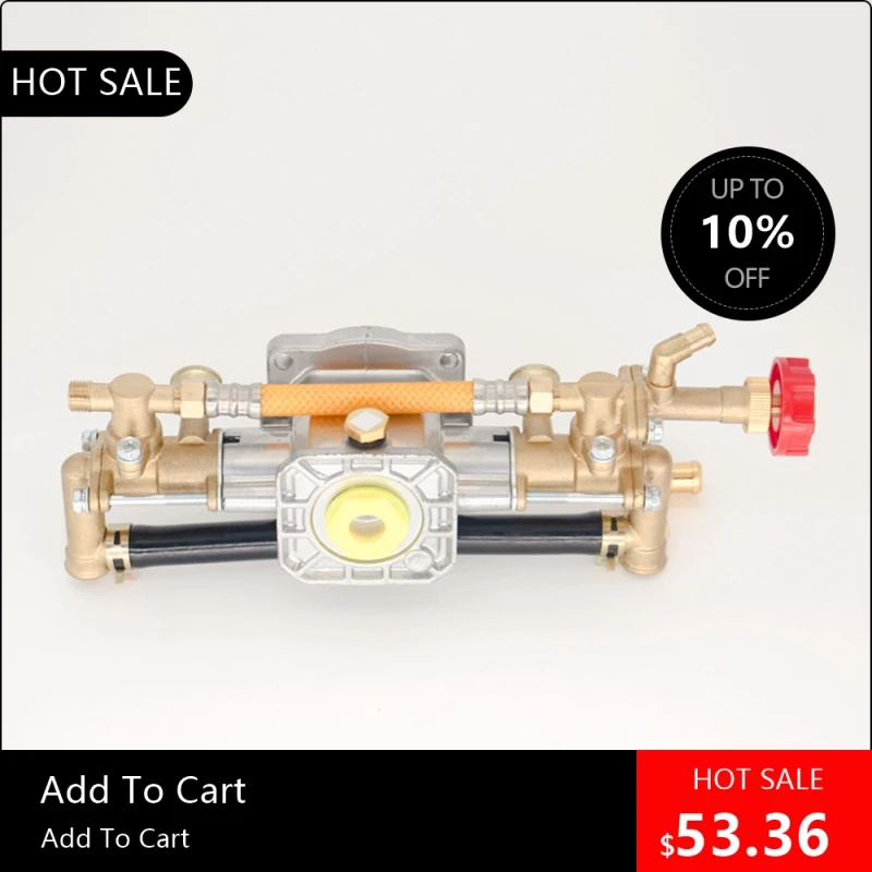 

818003 Головка насоса главного насоса опрыскивателя высокого давления Cassifa 220 В, однофазная головка насоса для садового опрыскивателя