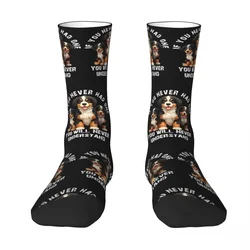 Bernese Mountain Dog Socks Harajuku High Quality Stockings All Season Long Socks Accessories for Unisex Gifts