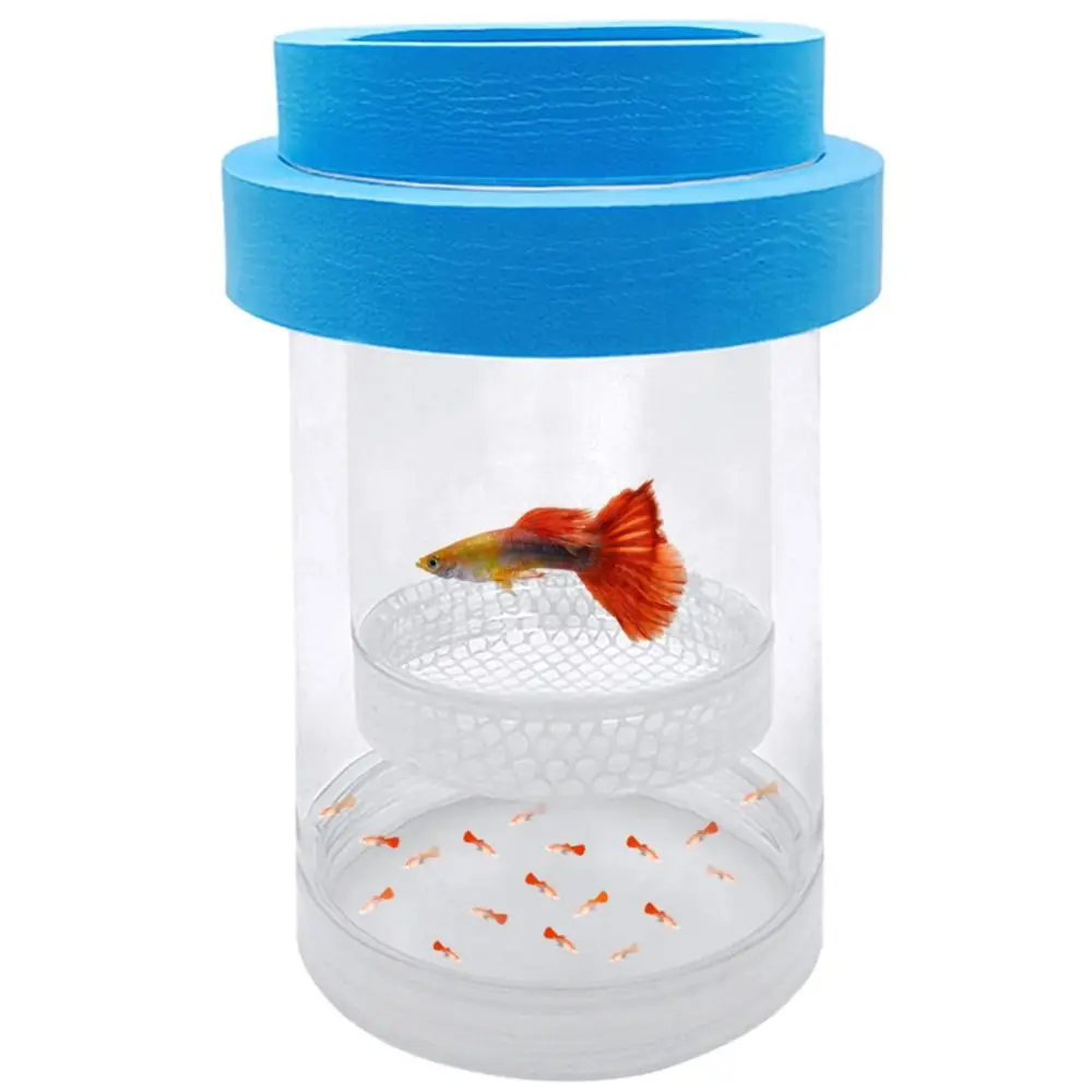 Plastic Mesh Floating Hatching Box Transparent Detachable Aquarium Breeder Box Shrimp Guppy Isolation Function
