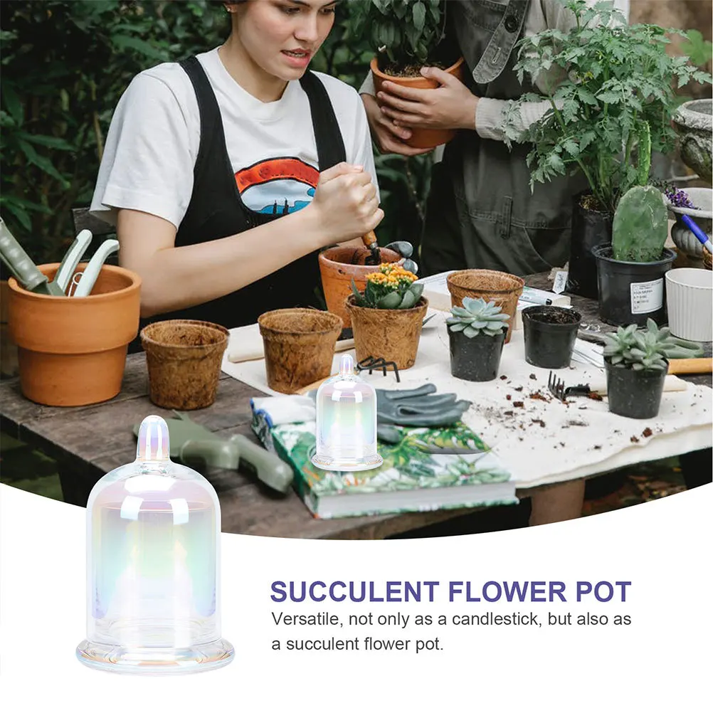 

1Set Glass Cloche Holder Decorative Cup Wax Container for Home Living Room Wedding Glass Cloche