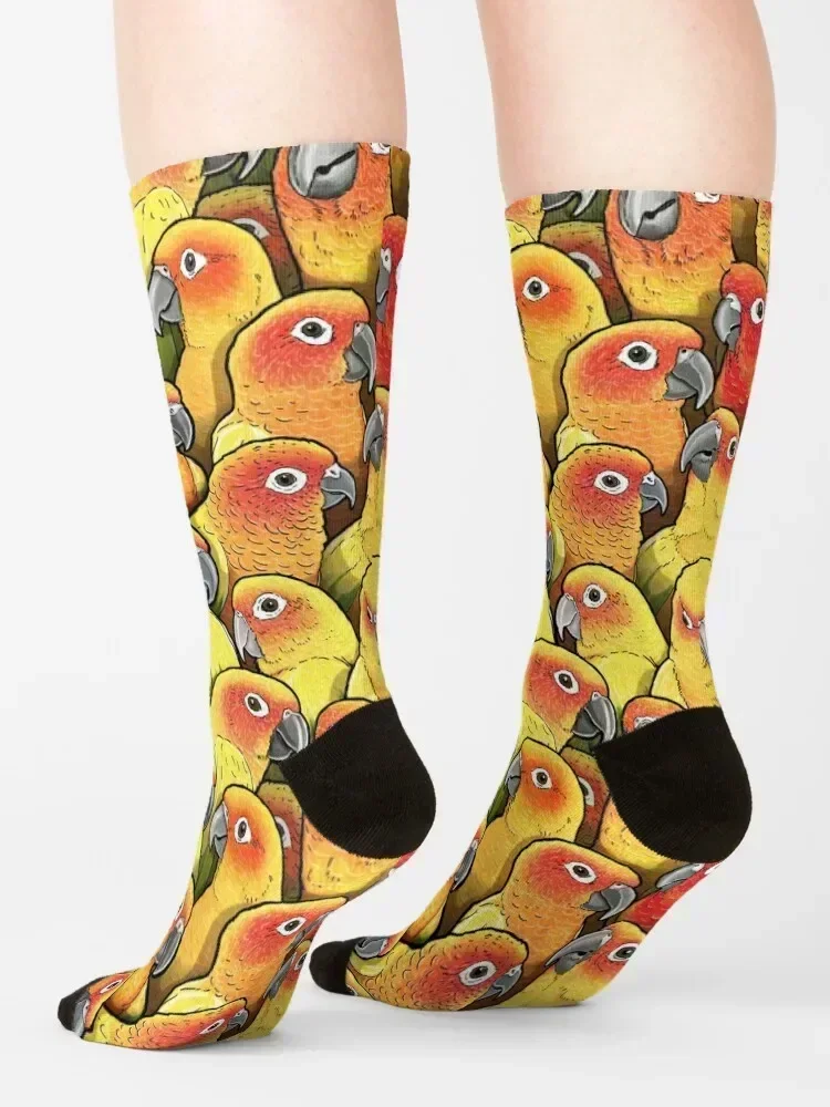 جوارب Sun Conures لكرة القدم مضادة للانزلاق ملونة جمالية للرجال والنساء