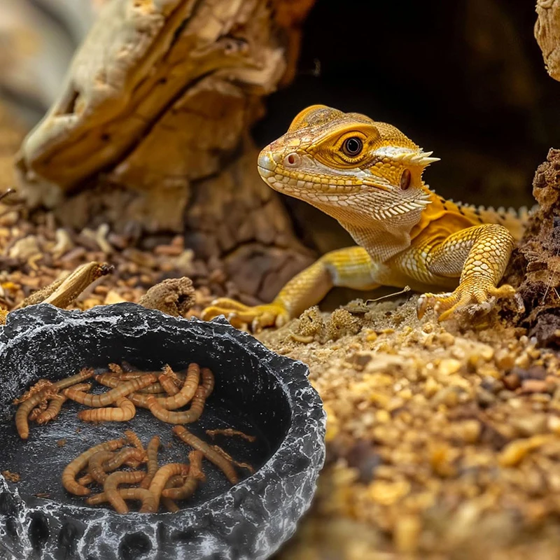 Thumbnail 2 - #79 Trending Reptile Water Bowls Right Now