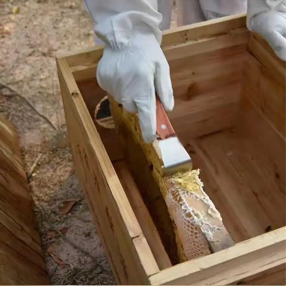 Wood Handle Honey Scraping Knife Multifunctional Hive Scraper Beekeeper Beekeeping Hive Tool Equipment Apiculture Supplies