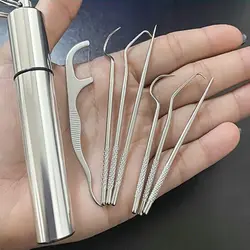 1set-Stainless Steel Toothpick Set Tooth Flossing Reusable Toothpicks Portable Toothpick Floss Teeth Cleaner Oral Cleaning