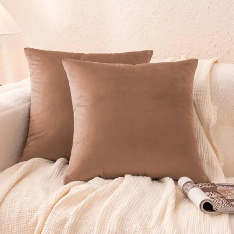 

Velvet Throw Pillow Covers Soft Decorative Square Cushion Cases Modern Home Decor for Sofa Couch Bed 18 × 18in Pack of 2